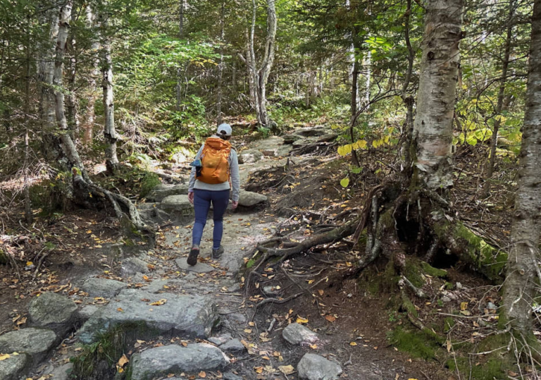 Beginner Day Hiking Gear List: The 10 Essentials (2026)
